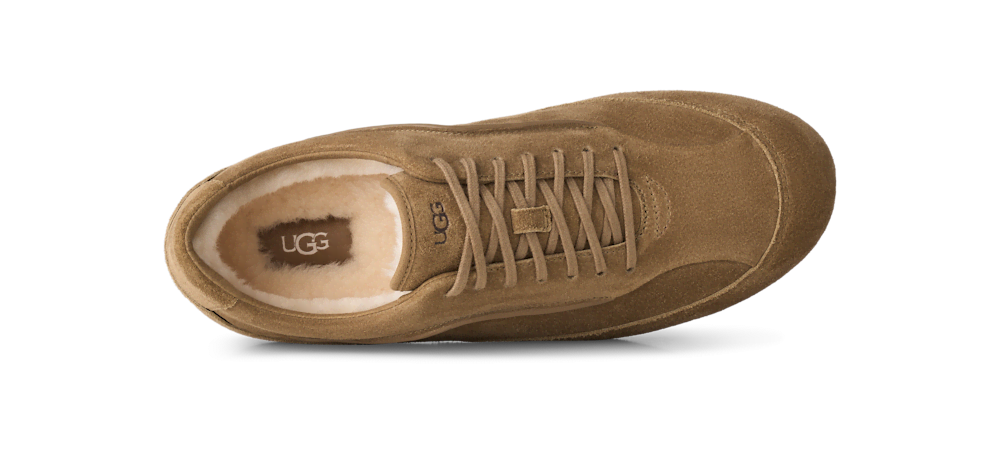 Men's Suede Low Top Sneaker