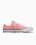 Canvas Low-Top Sneaker - Multiple Colors - Ok Bloomer