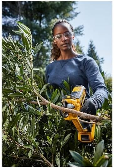 DEWALT 20V MAX Cordless Pruner - DCPR320D1