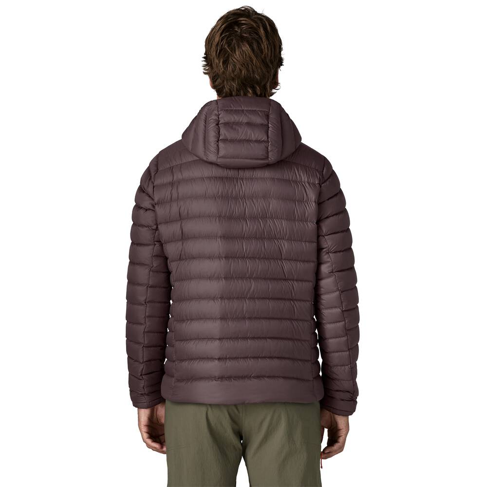 Men's 800-Fill Down Hooded Jacket - Purple