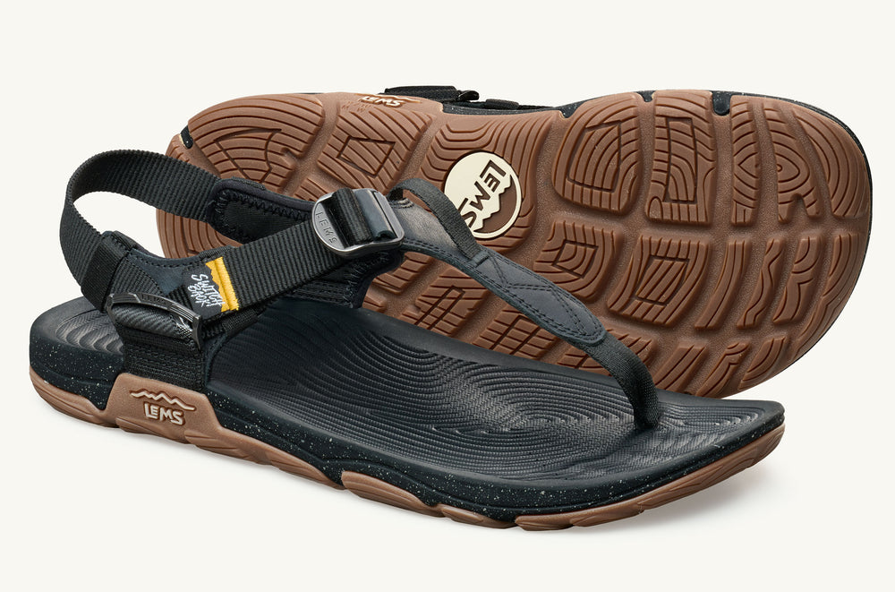 Men's Adjustable Webbing Sandal - Cactus