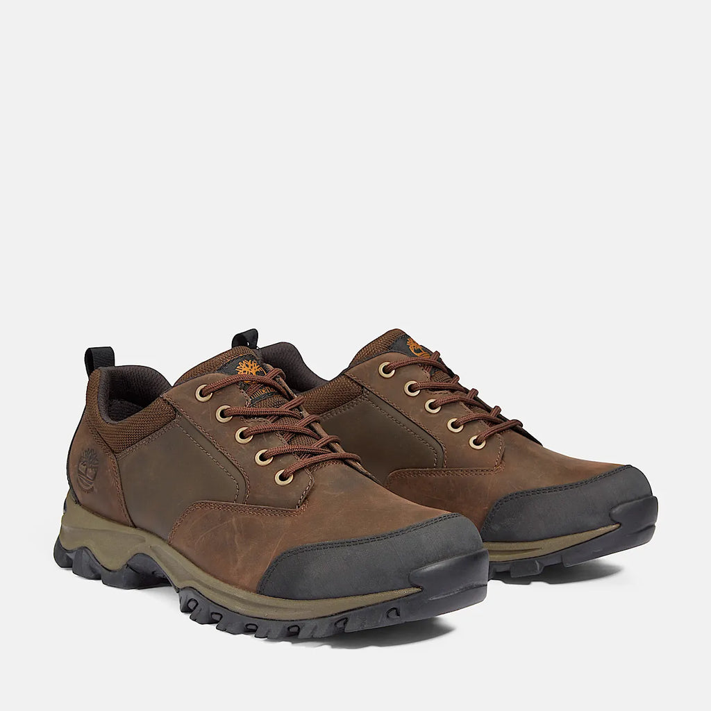 Men's Waterproof Low Hiking Shoe