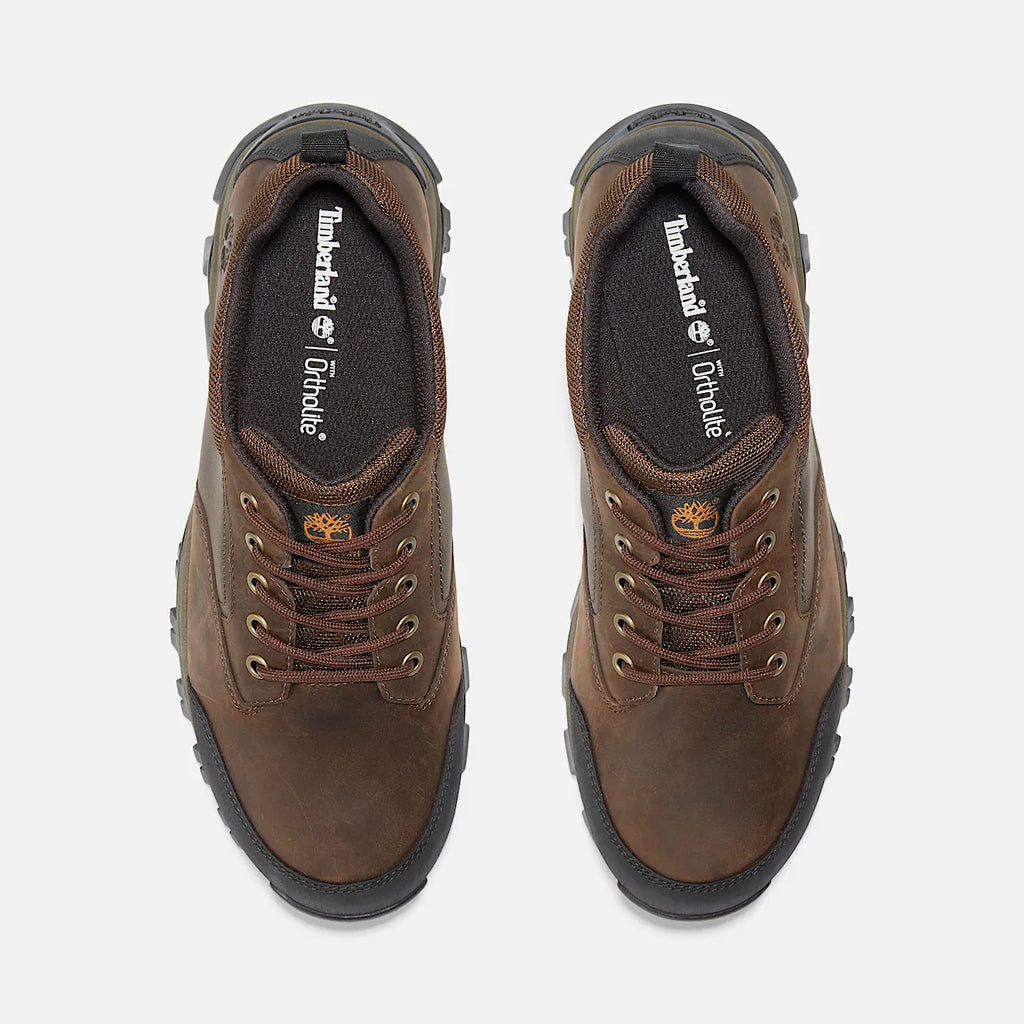 Men's Waterproof Low Hiking Shoe