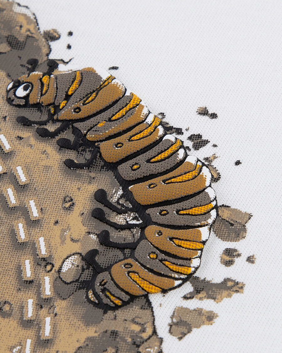 Kids' Insect Graphic T-Shirt - White - White