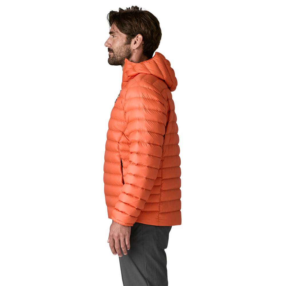 Men's 800-Fill Down Hooded Jacket - Purple
