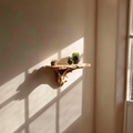 Rustic Floating Shelf