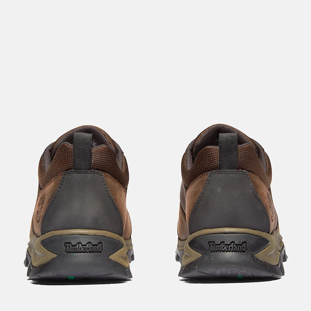 Men's Waterproof Low Hiking Shoe