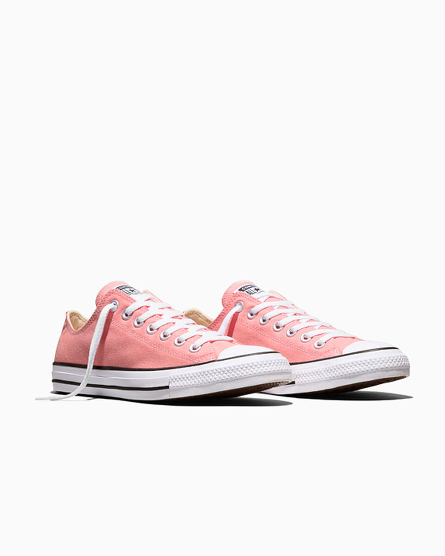 Canvas Low-Top Sneaker - Multiple Colors - Ok Bloomer