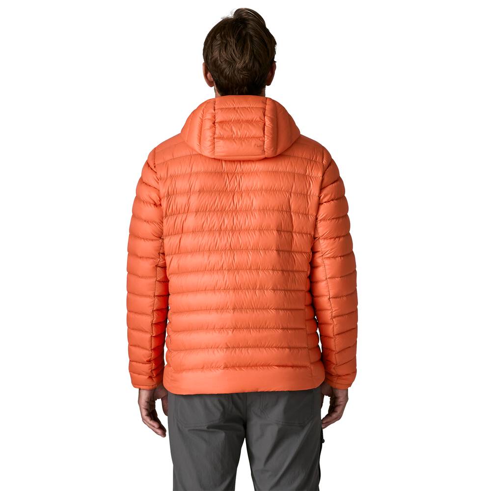 Men's 800-Fill Down Hooded Jacket - Purple