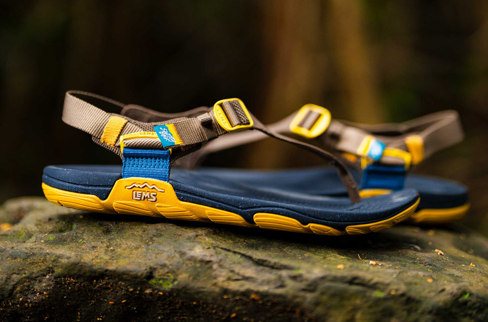 Men's Knit Sport Sandal - Twig