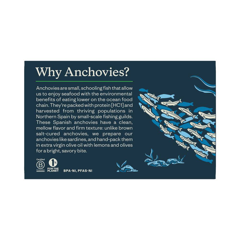 Spanish White Anchovies in Olive Oil